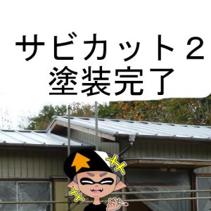 ロックペイントのサビカットⅱで錆びたトタン屋根の下地塗装をしてみた。